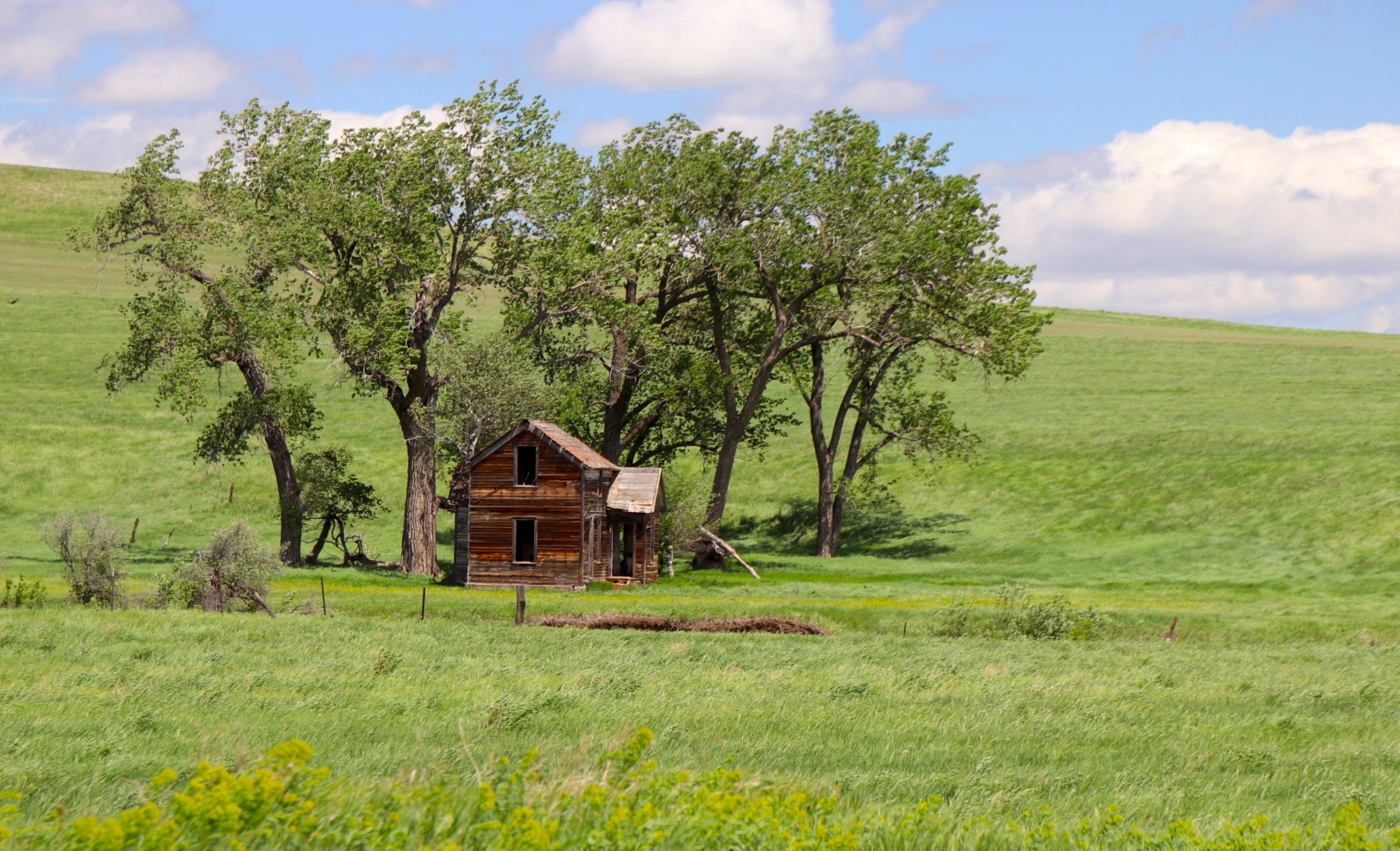 Prairie House